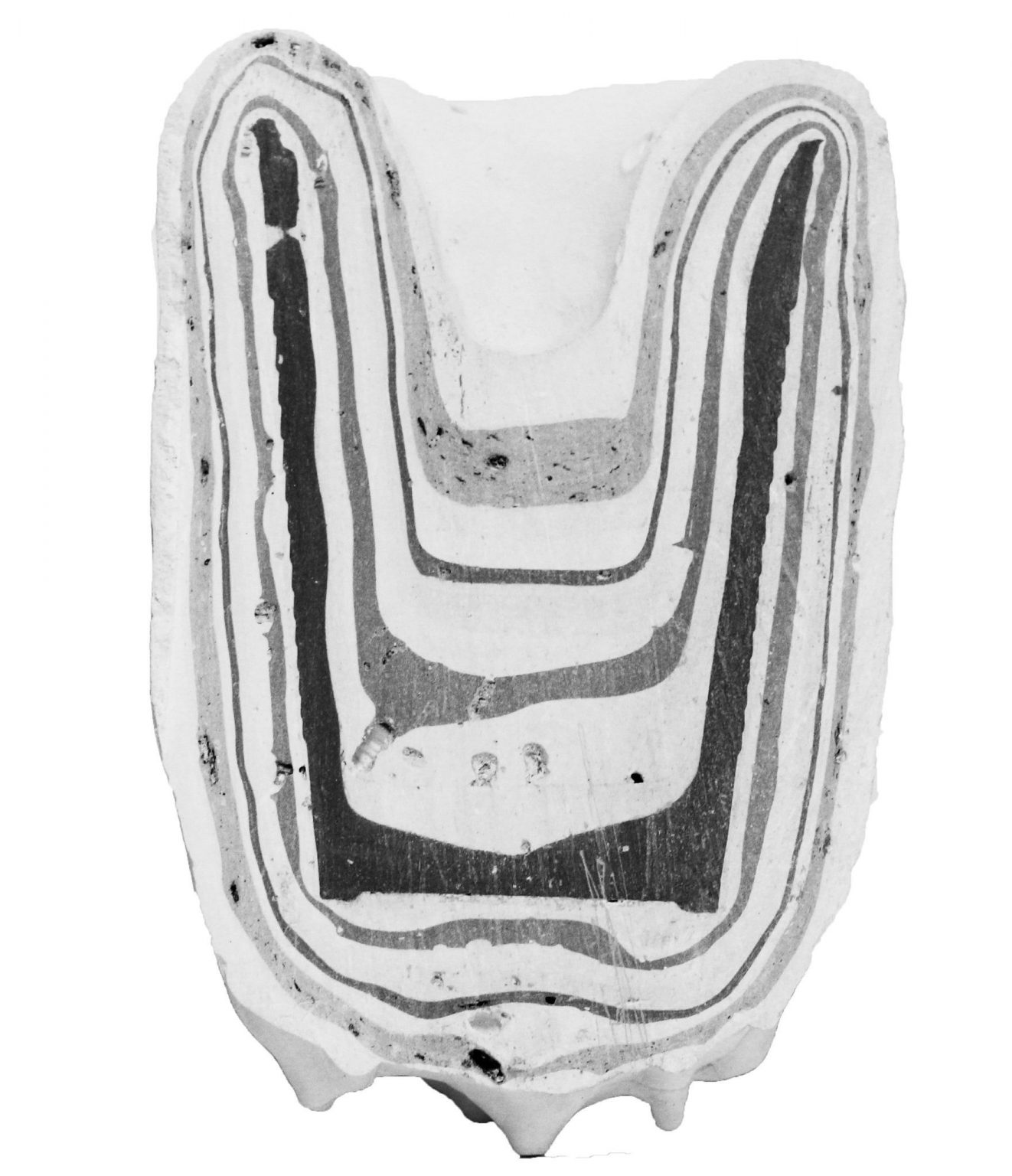 Camille Col&eacute;on